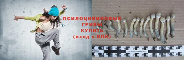 герыч Верхний Тагил